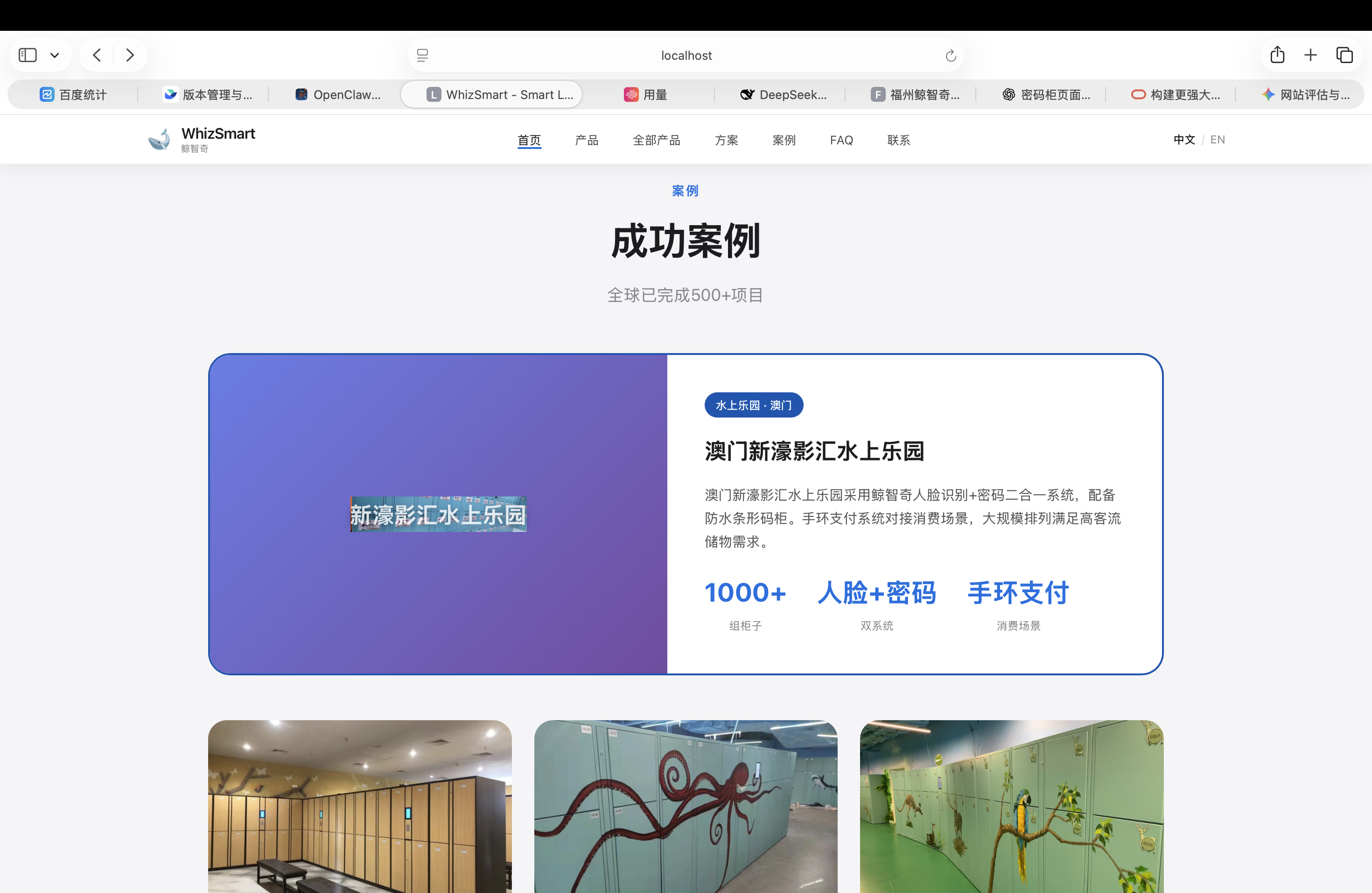 案例图片